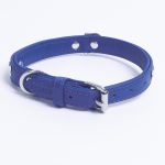 Rotterdam Bones Dog Collar