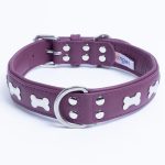 Rotterdam Bones Dog Collar