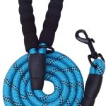 5 FT Thick Highly Reflective Dog Leash- Blue