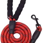 5 FT Thick Highly Reflective Dog Leash-Green