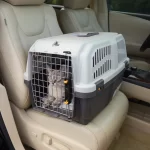 24” Plastic Cat Carrier with Integrated Litter Pan,Pet Supplies, Carry Your Dog Outside, Portable, Small Animal Carrier