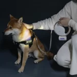 New Ring Automatic Retractable Dog Leash