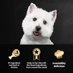 CESAR Dog Food Trays Made With Real Meat or Real Chicken (36) 3.5 Oz