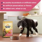Nature′s Recipe Dry Dog Food, Grain Free Salmon, Sweet Potato Pumpkin Recipe, 24 lb.