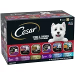 CESAR Dog Food Trays Made With Real Meat or Real Chicken (36) 3.5 Oz