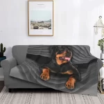 Rottweiler Lovers Flannel Throw Blankets Warm and Plush! For Home, Bedroom, Sofa ...