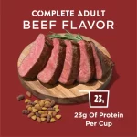Purina Dog Chow Beef Flavor Dry Dog Food, 44 lb Bag