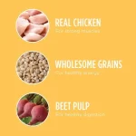 Chicken & Whole Grains Flavor Dry Dog Food for Puppys, 15 lb. Bag