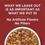 Purina Dog Chow Beef Flavor Dry Dog Food, 44 lb Bag