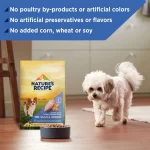 Nature′s Recipe Dry Dog Food, Grain Free Small Breed Chicken, Sweet Potato & Pumpkin Recipe, 12 lb. Bag